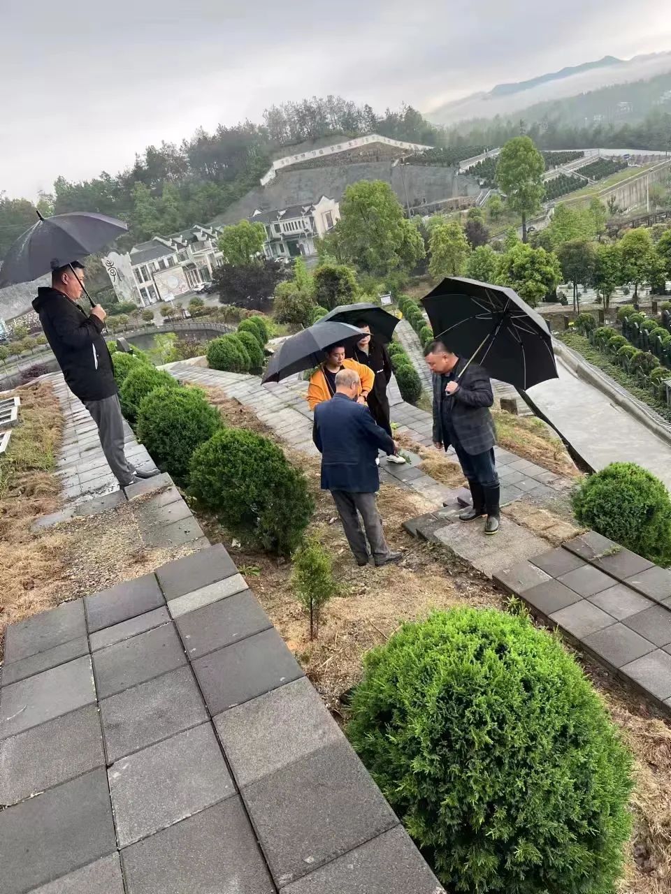 842f567cc1249dbc8d7beb4ee47d29d4.jpg 842f567cc1249dbc8d7beb4ee47d29d4.jpg